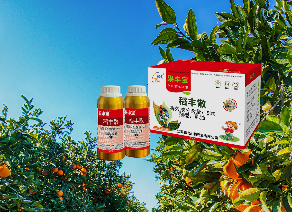 稻丰散